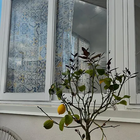 La Maiolica 59 *